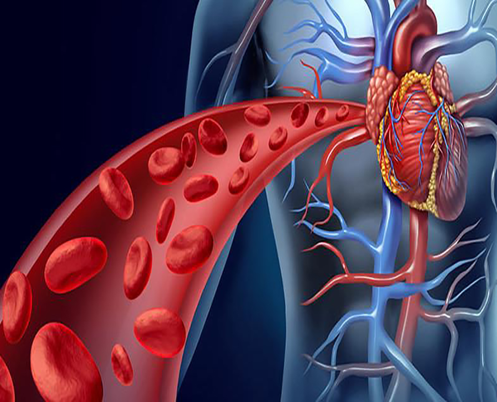عيادة القلب والاوعيه الدمويه